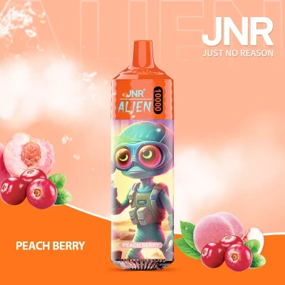 Peach Berry | JNR Alien 10K Puffs Disposable Vape