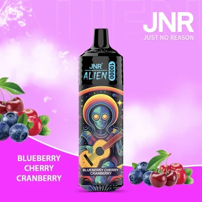 Blueberry Cherry Cranberry | JNR Alien 10K Puffs Disposable Vape