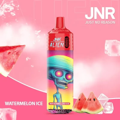 Watermelon ice | JNR Alien 10K Puffs Disposable Vape